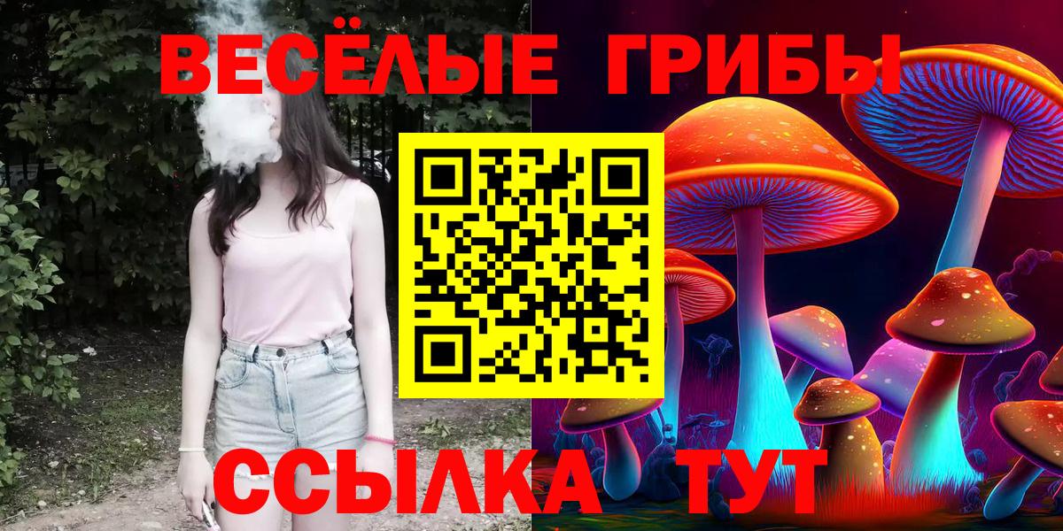 Псилоцибиновые грибы Psilocybine cubensis  Вход с VPN  Галлюциногенные грибы мухоморы  наркошоп  Старая Купавна 