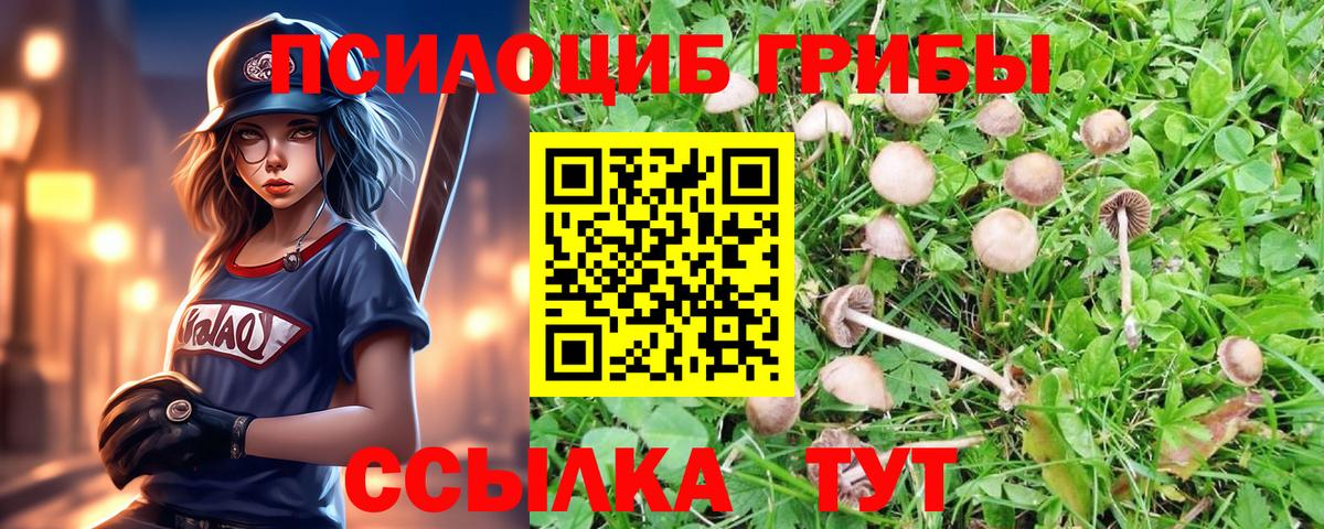 Галлюциногенные грибы MAGIC MUSHROOMS Старая Купавна